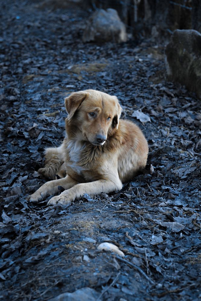 Photograph by Atefe.afshon