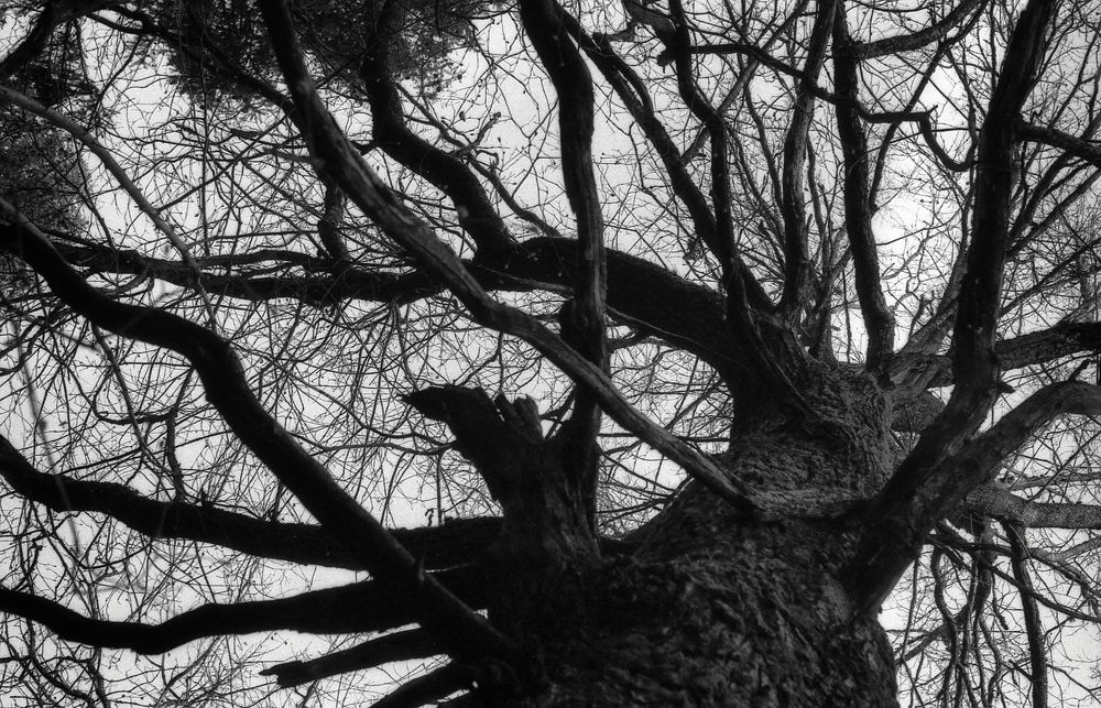 Фотография автора Кирилл Сизов