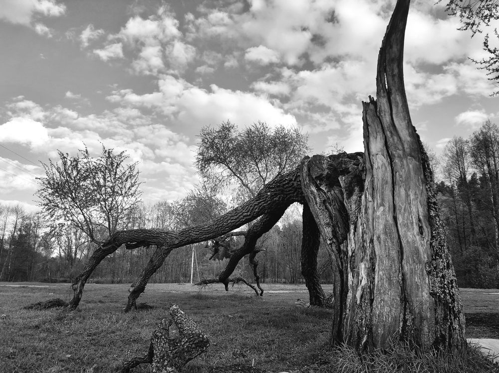 Photograph by Татьяна Новик