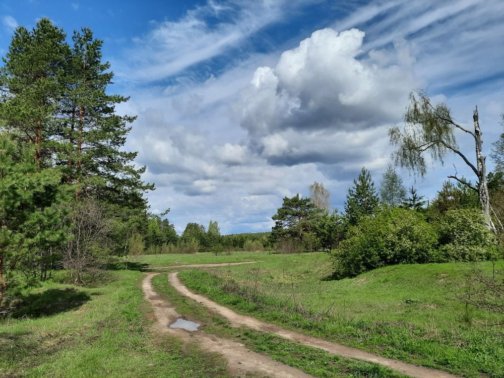 Photograph by Татьяна Новик