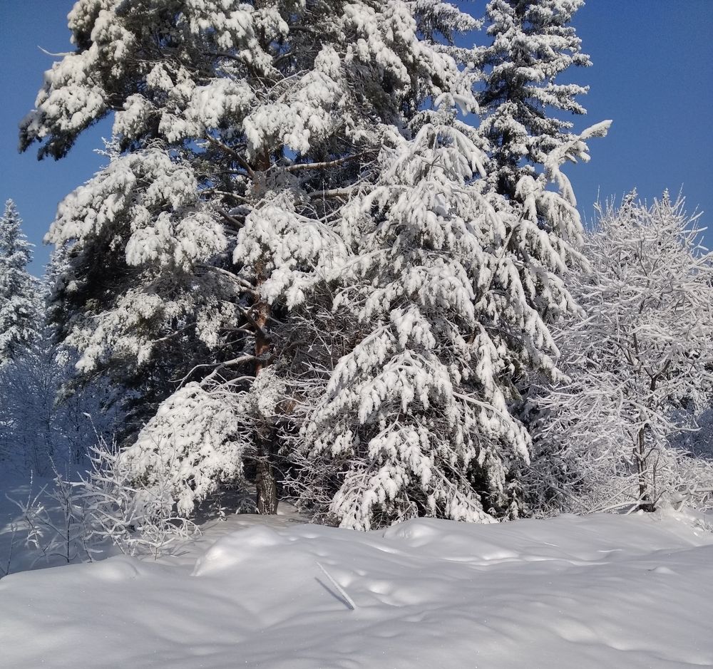 Photograph by Анатолий Майдуров