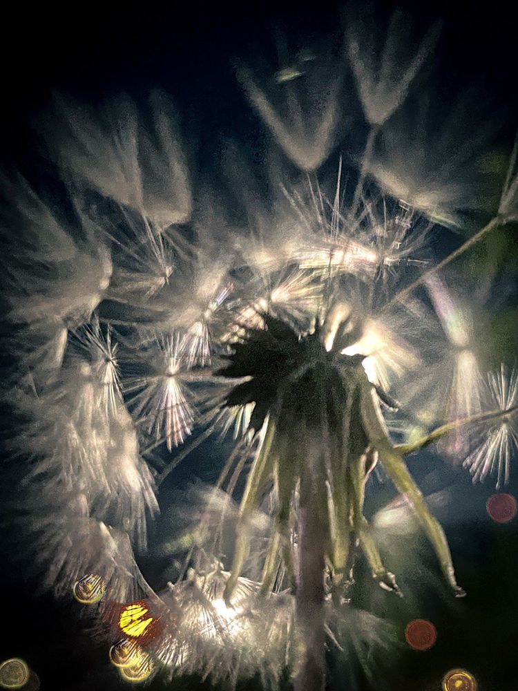 Photograph by Анна Колесниченко