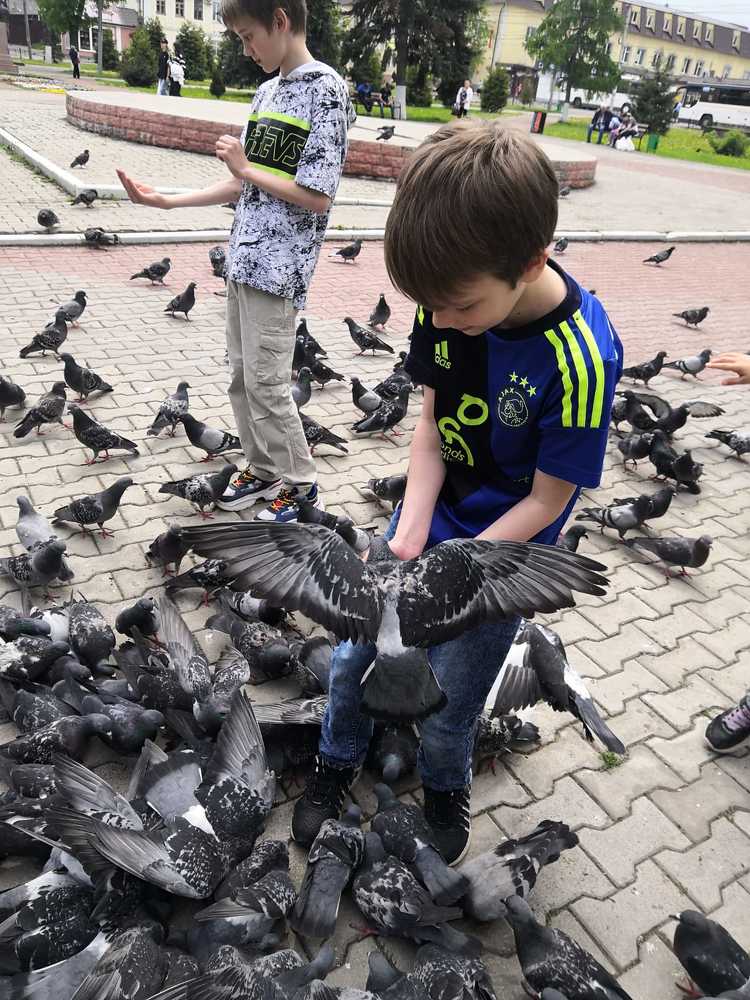 Photograph by Андрей Авраменко