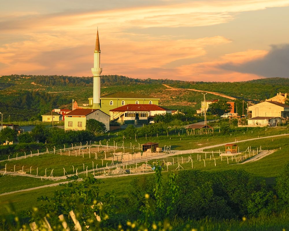 Photograph by Haitham Almoghrabi