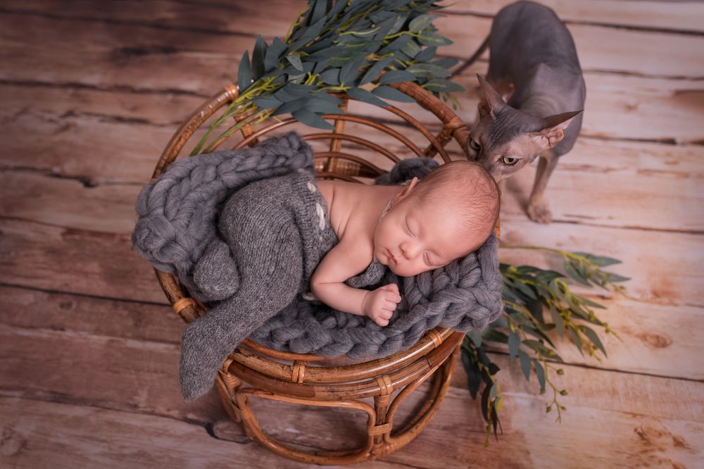 Photograph by Анастасия Кирсанова