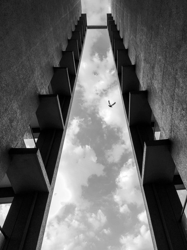 Photograph by Vicky Sadhu