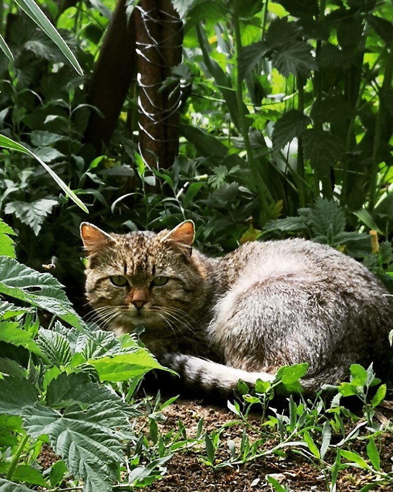 Photograph by Nikolett Mengyi