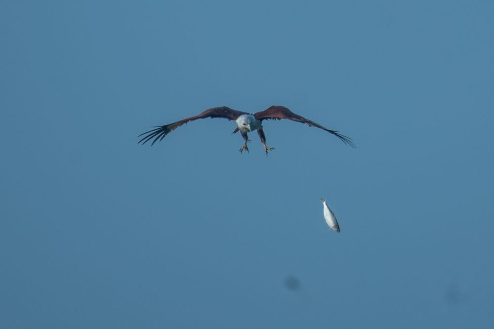 Photograph by Ragu Varan