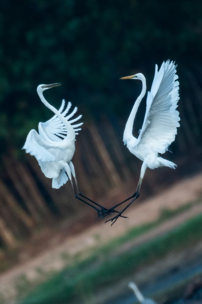 Photograph by Ragu Varan