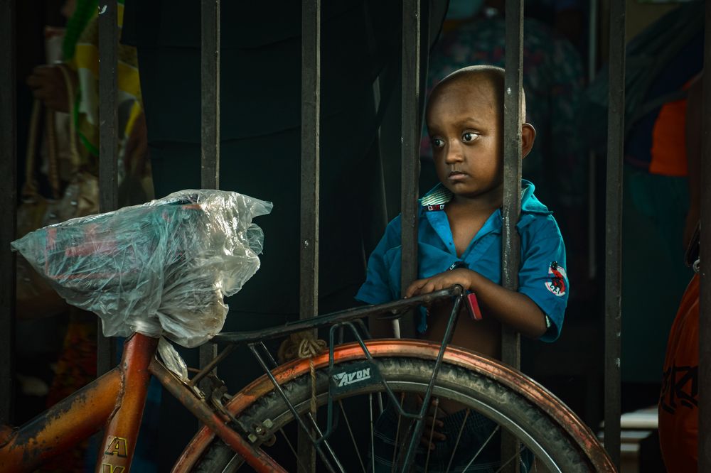 let me be free to see the world