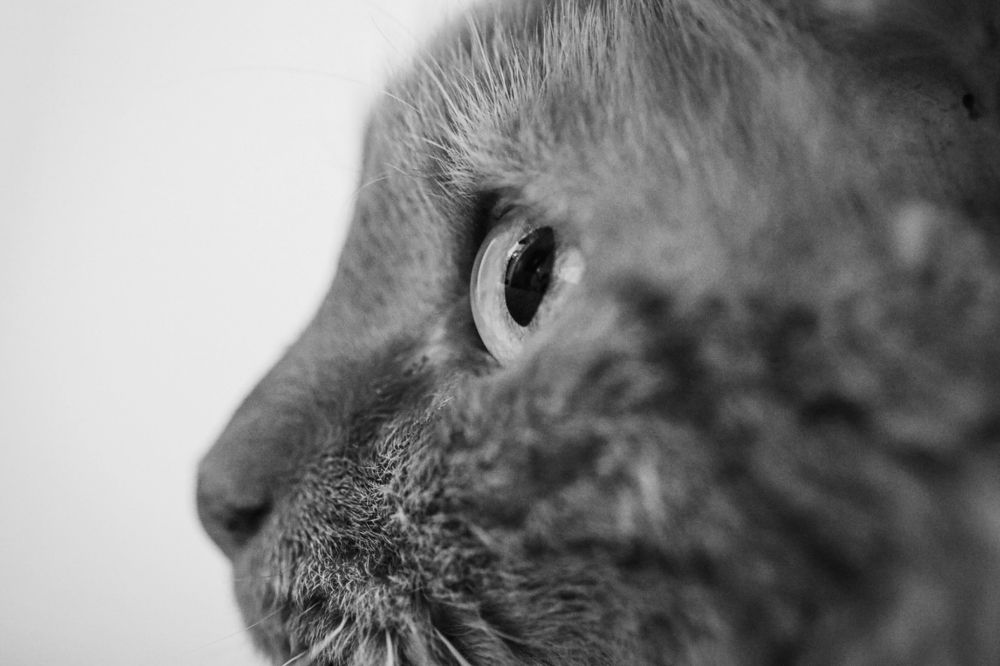 Photograph by Karla Makuc