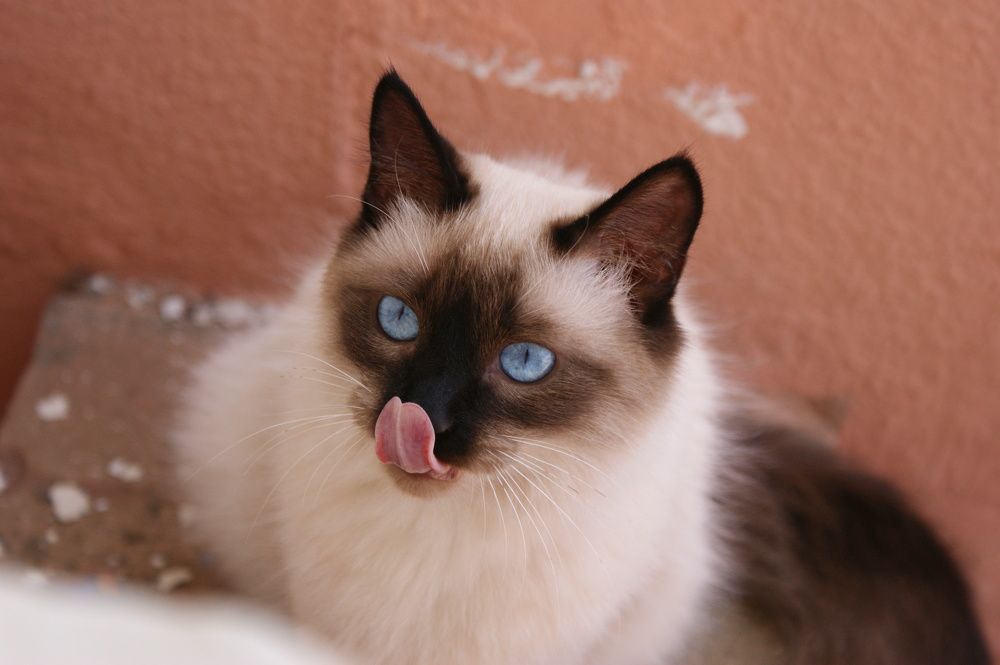 Photograph by Hicham Chraibi