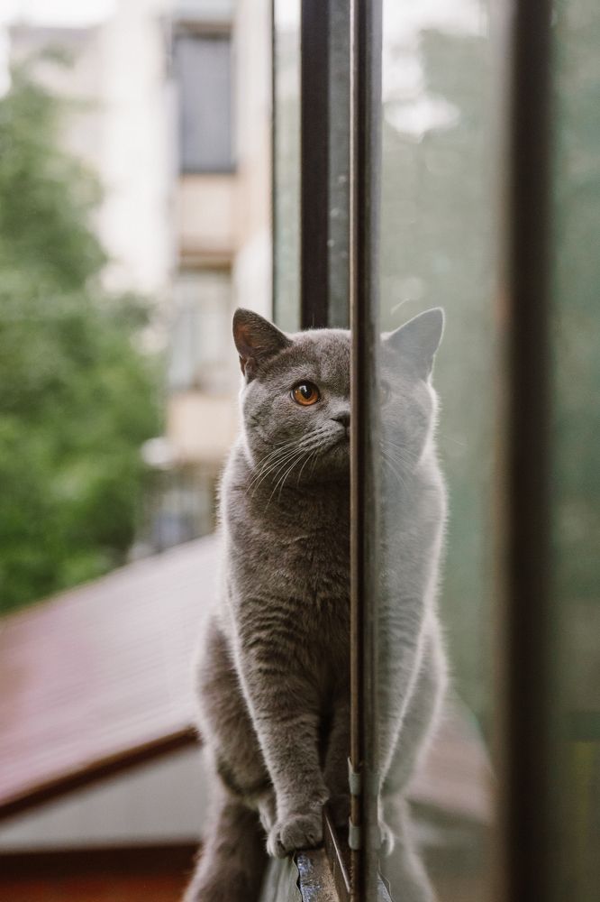 Photograph by Татьяна Скорина