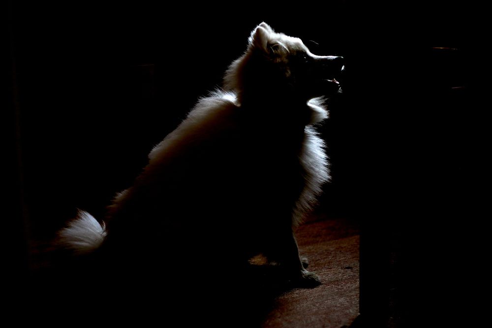 Photograph by федотов Алексей