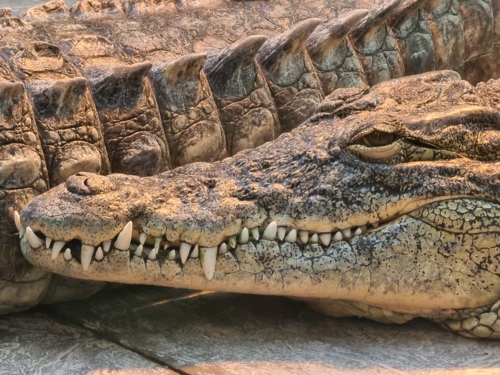 I'm hungru, are you?