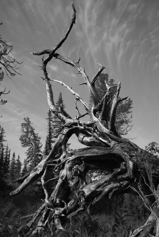 Photograph by Константин Искучеков