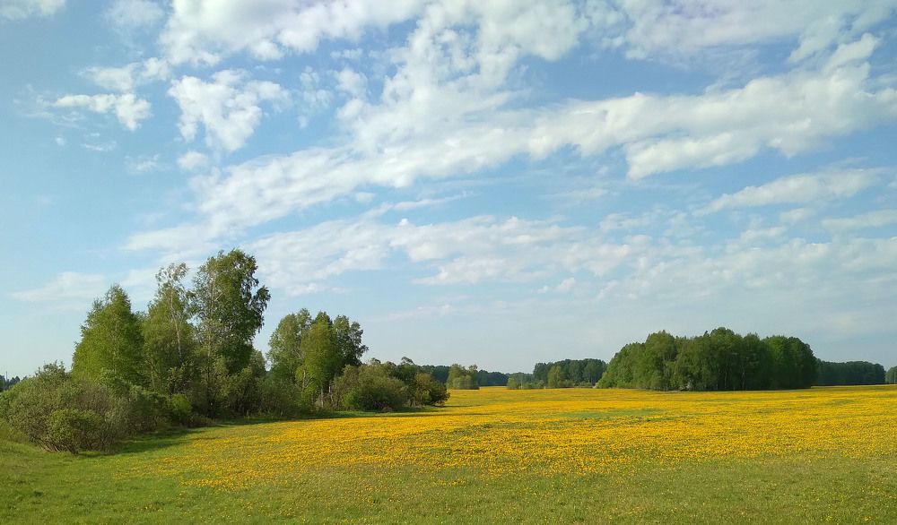 Photograph by Михаил Белоусов