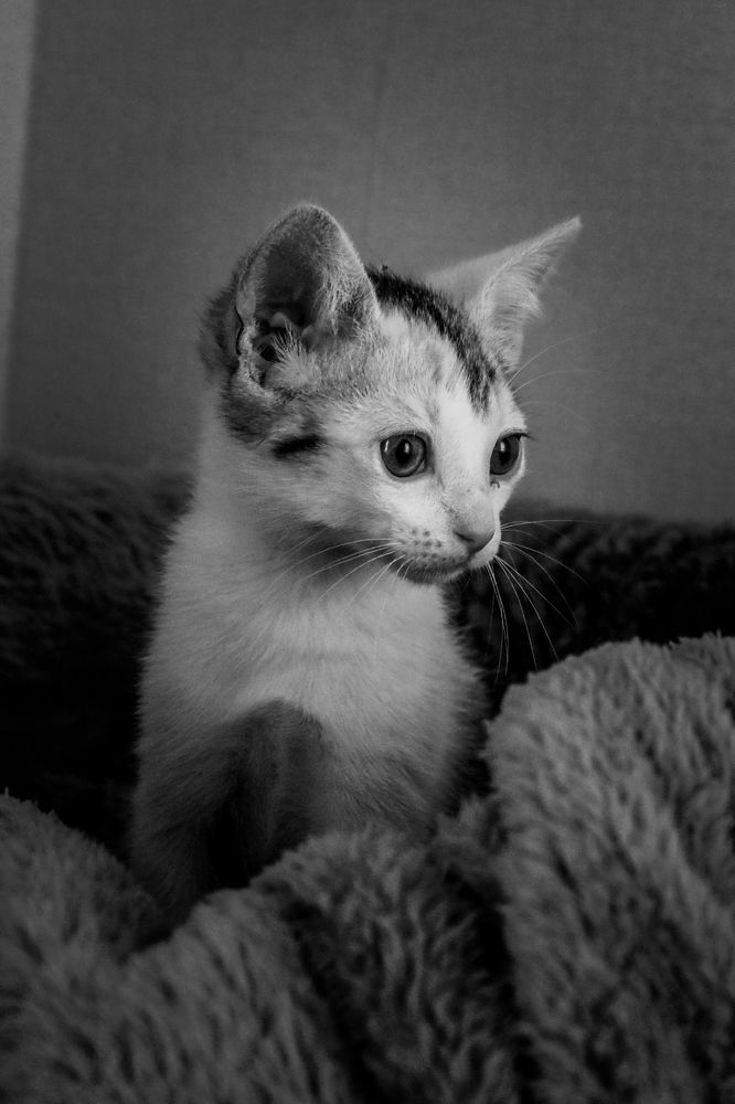 Photograph by Karla Makuc