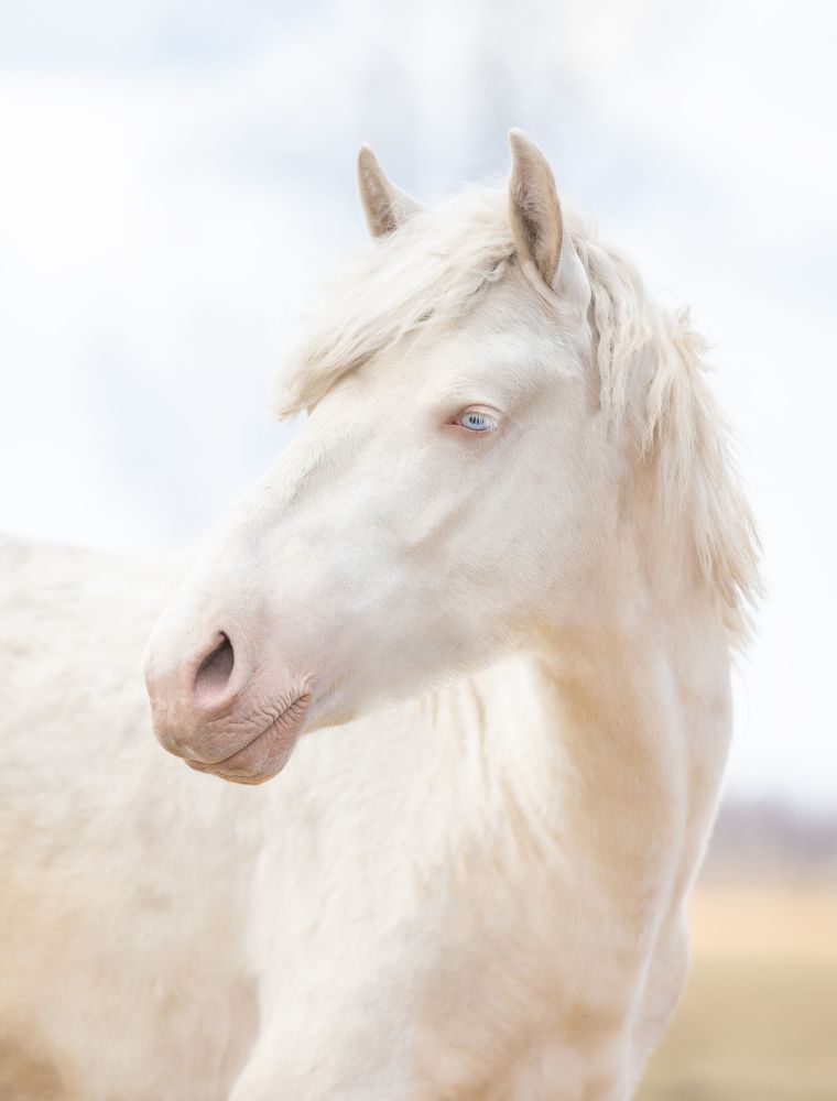 Photograph by Наталья Муфазалова