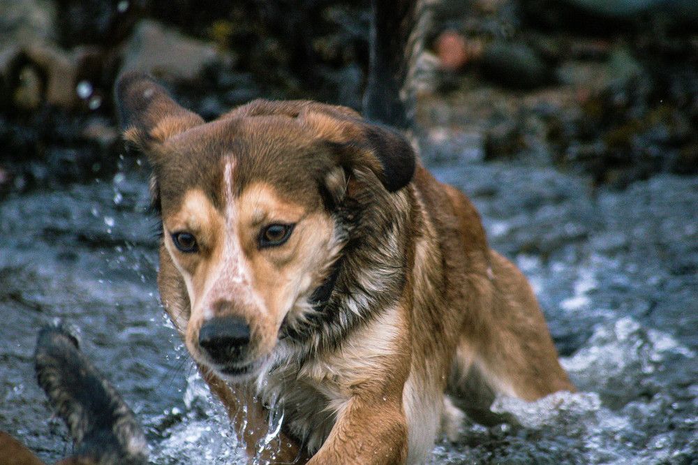 Photograph by Антон