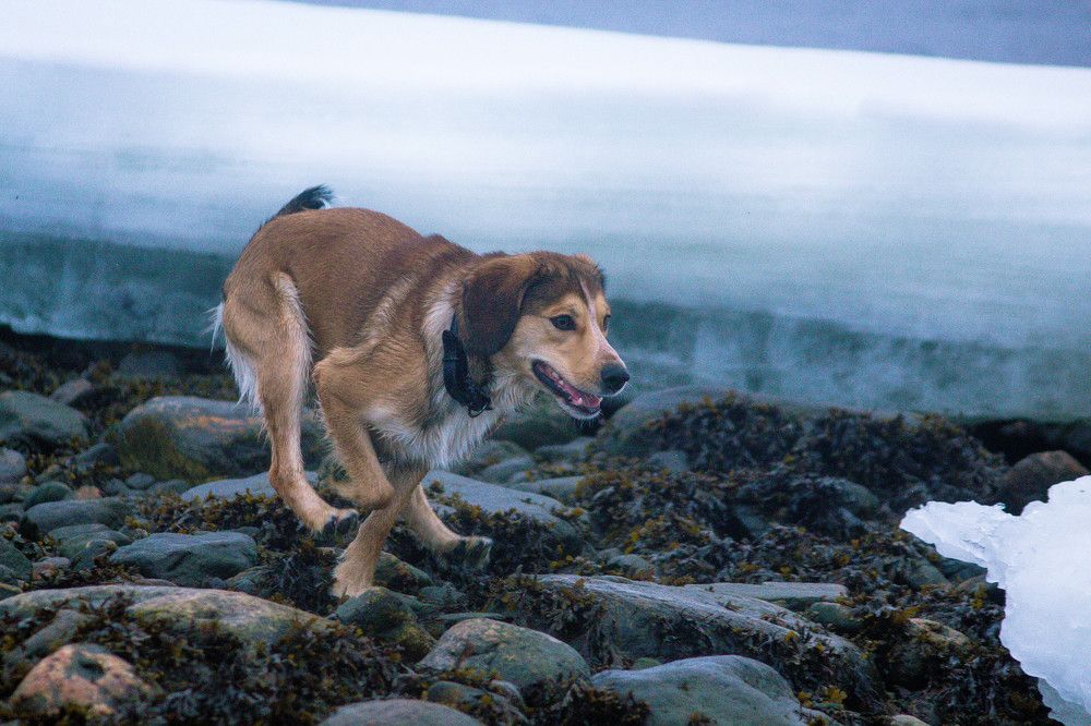 Photograph by Антон