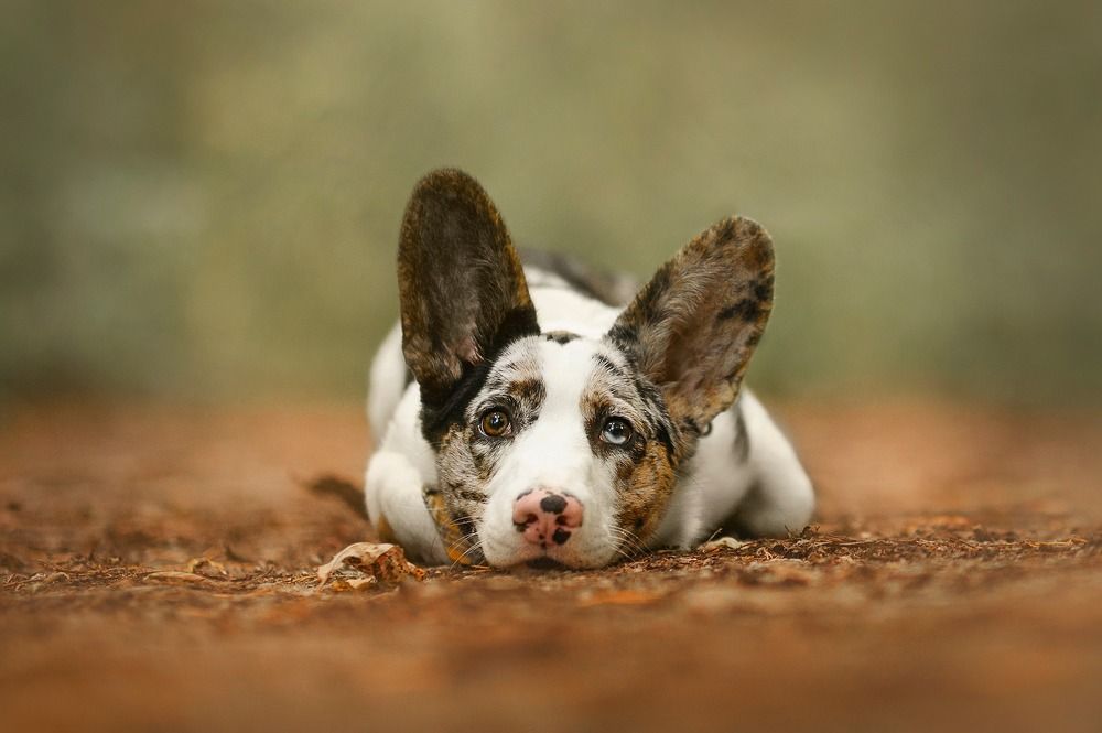 Photograph by Karina Saarestik