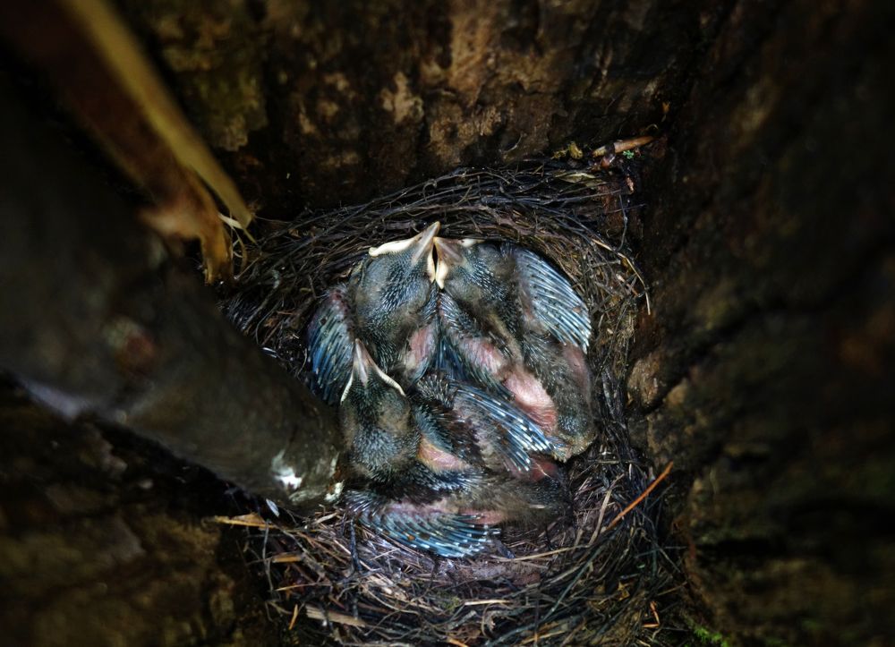 когда сыты и здоровы