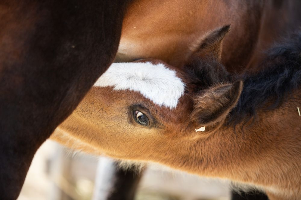 Photograph by Наталья Муфазалова