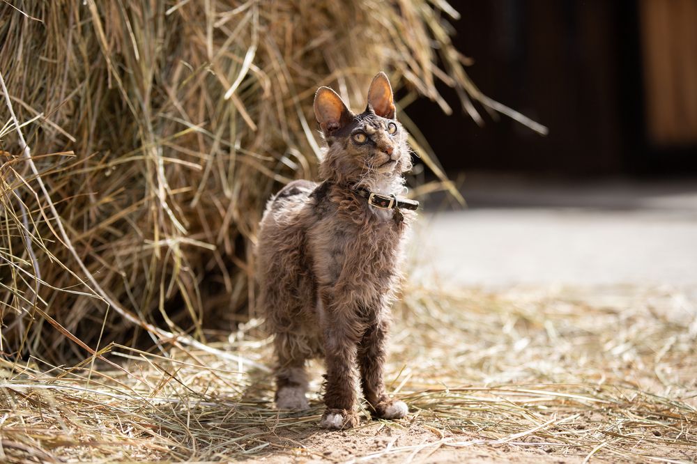Photograph by Наталья Муфазалова