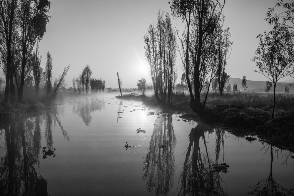 Photograph by Jaime Trejo