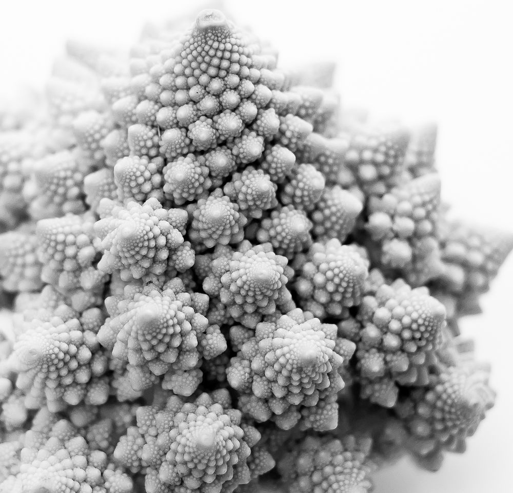 Photograph by stephanie taylor