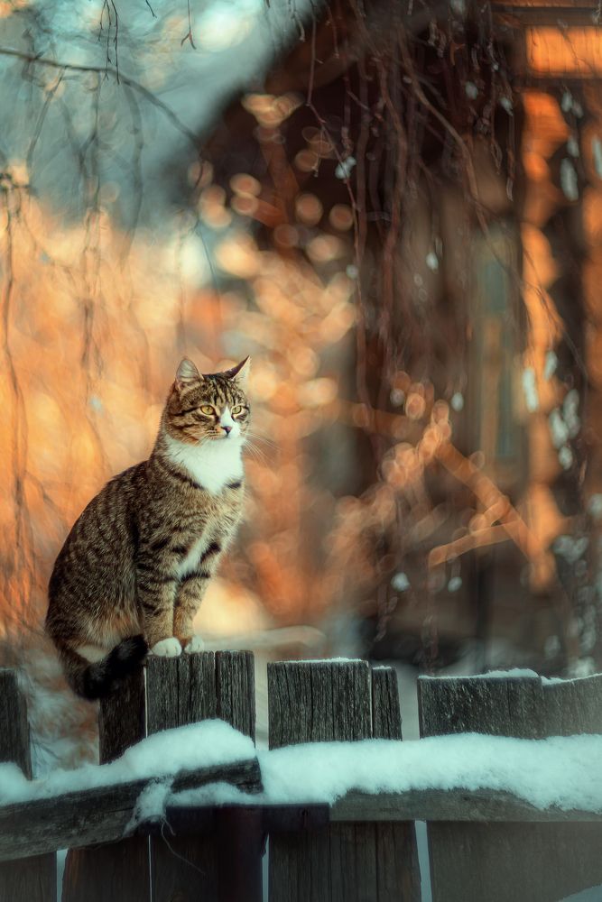 Photograph by Елена Баклач