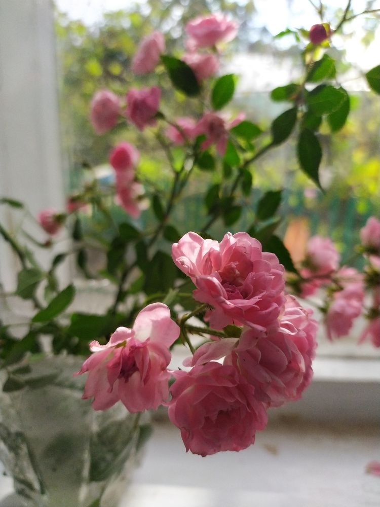 Photograph by Марина