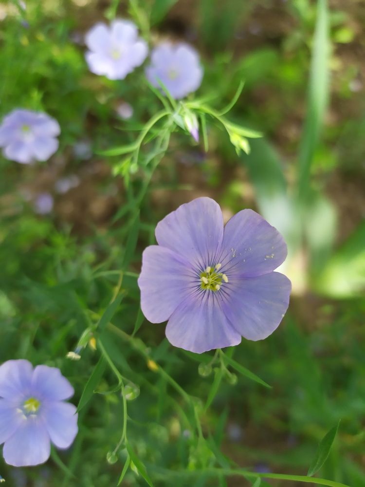 Photograph by Марина