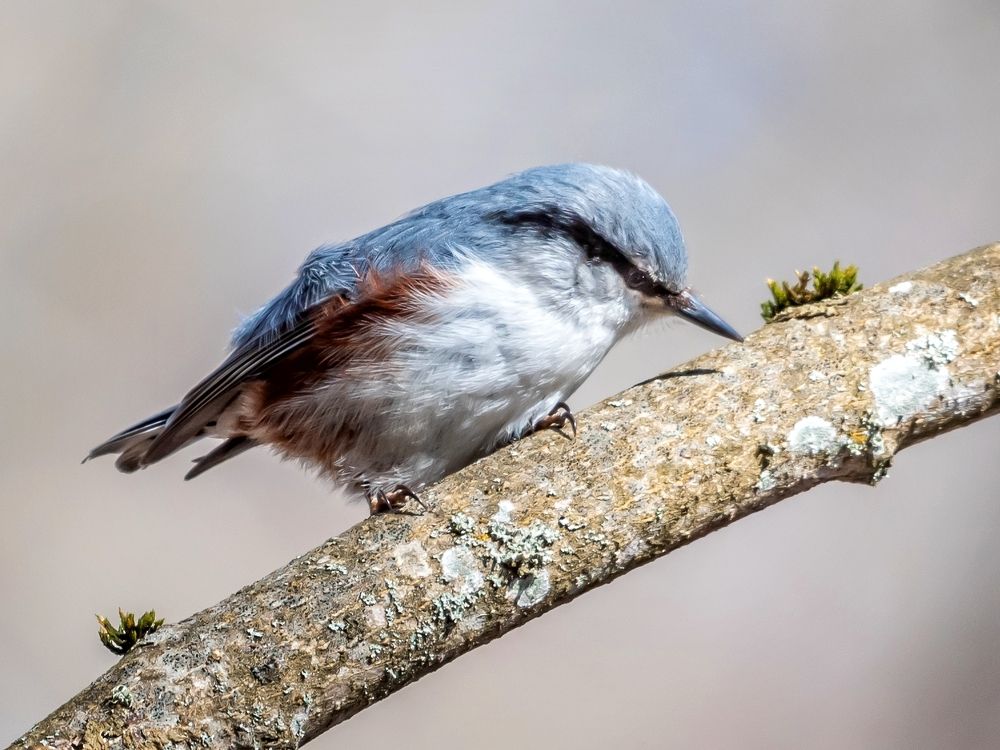 Фотография автора Юрий Макаров