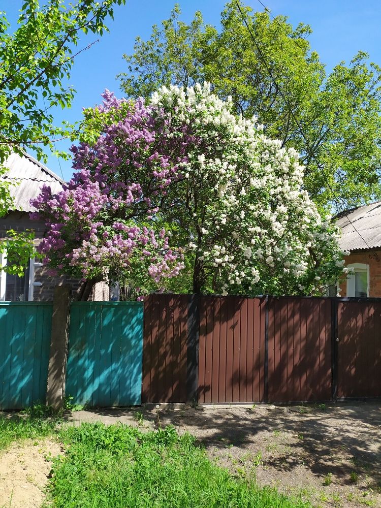 Photograph by Марина