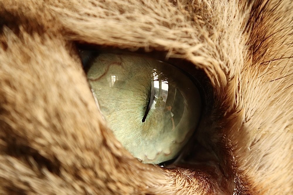 Photograph by Alexandr Tulinov