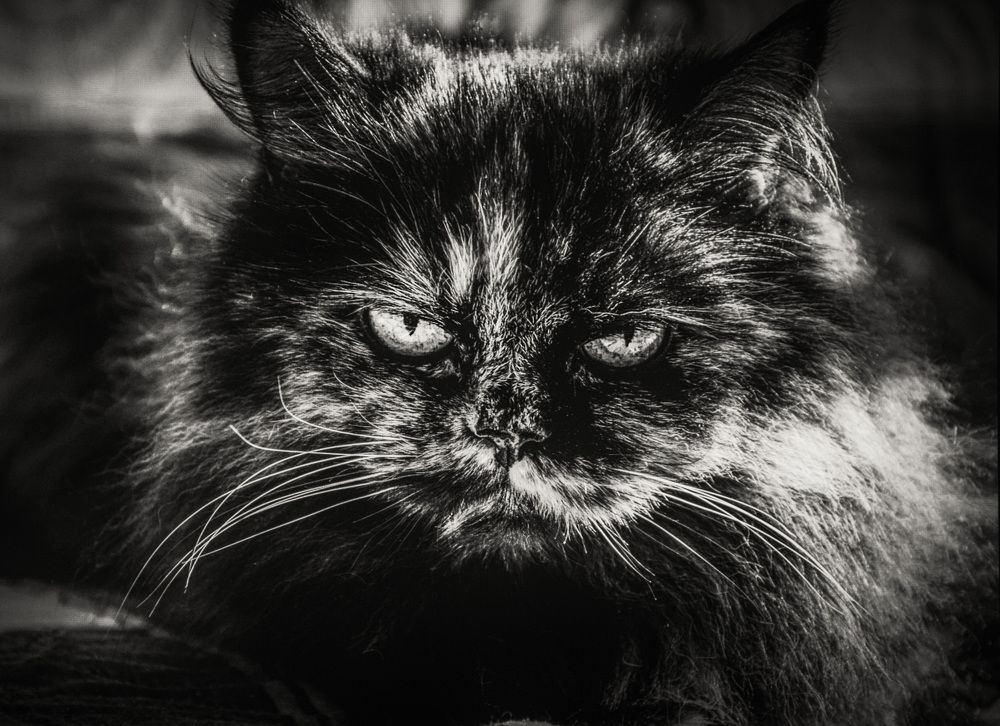 Photograph by Виктория Кудина