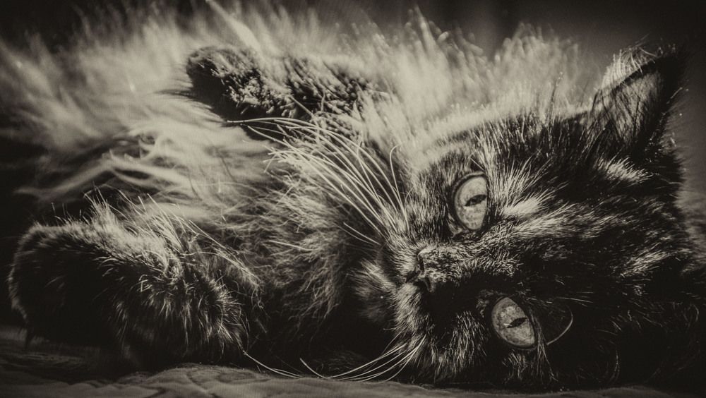 Photograph by Виктория Кудина