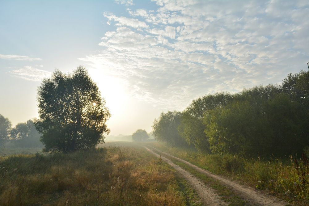 Photograph by Дмитрий Чемоданов