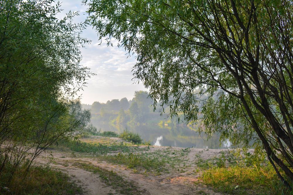 Photograph by Дмитрий Чемоданов