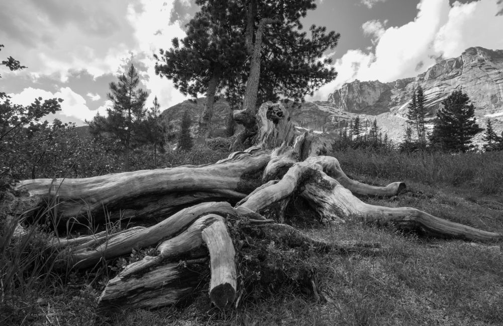 Photograph by Константин Искучеков