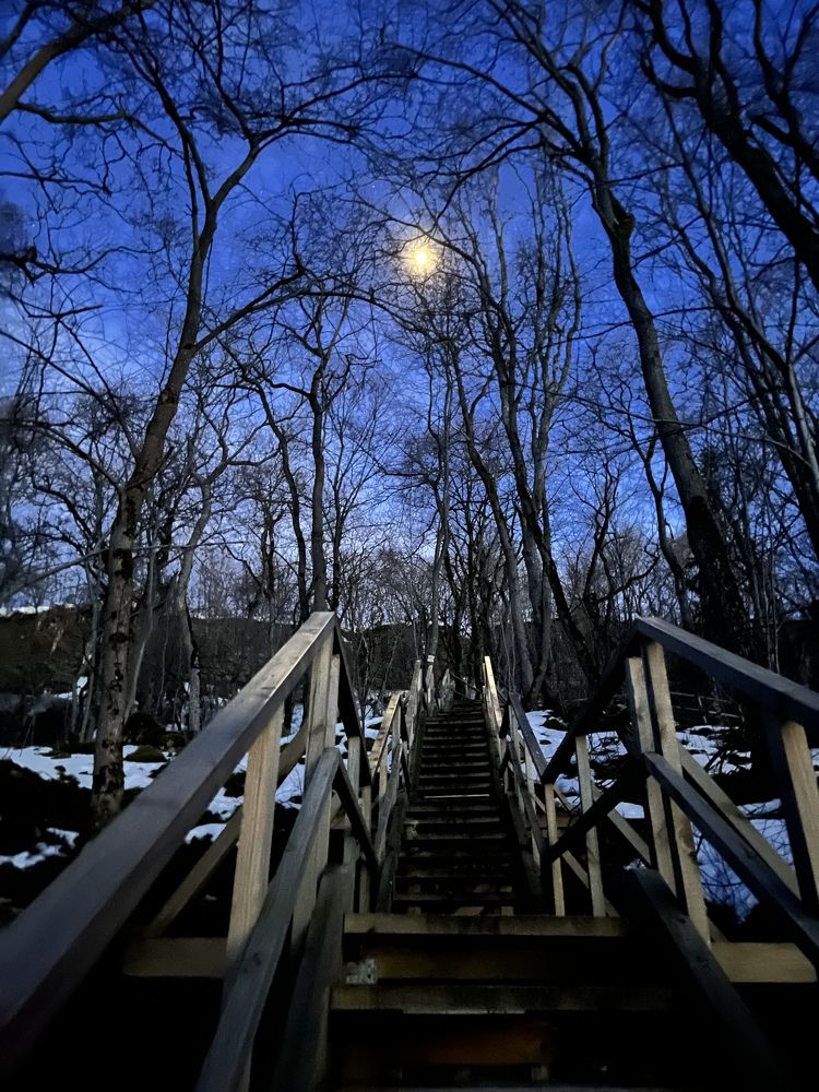 Photograph by Эрика