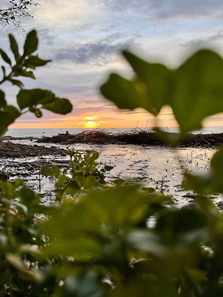 Photograph by Эрика