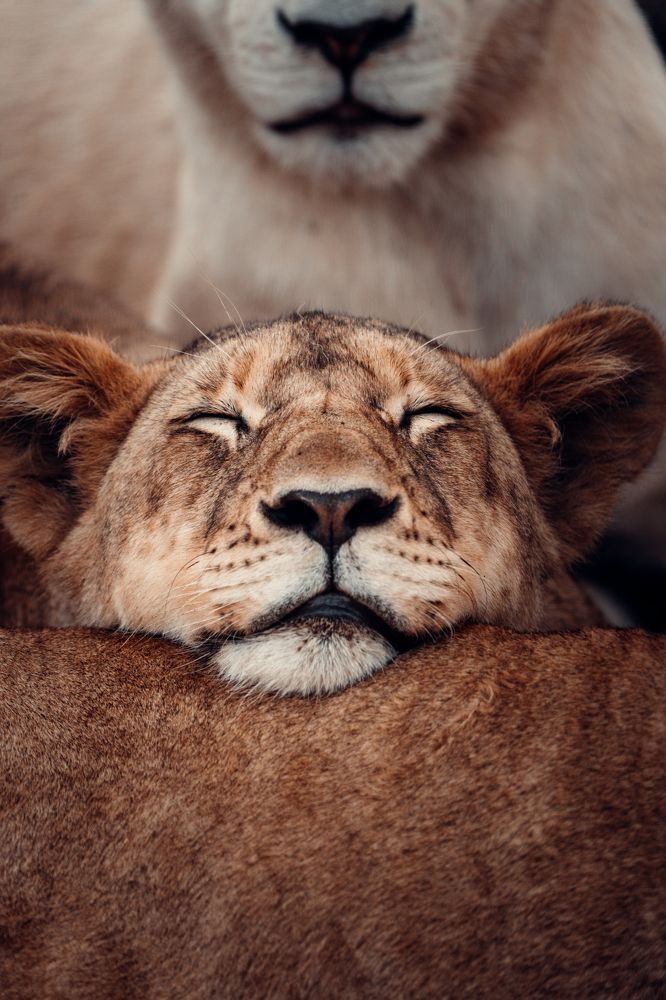 Photograph by avesta abdolhosseinpour