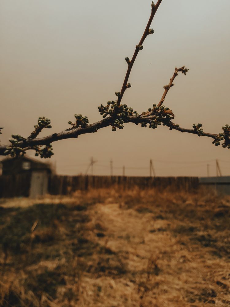 Photograph by Мария Лысых