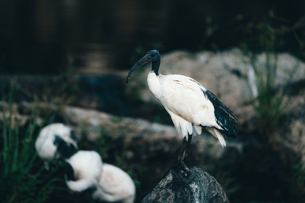 Photograph by avesta abdolhosseinpour