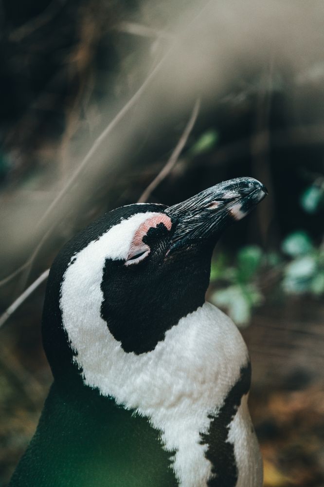 Photograph by avesta abdolhosseinpour