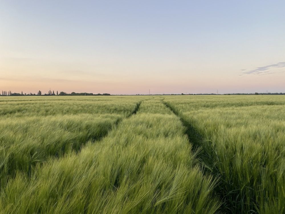 Photograph by Полина Синельникова