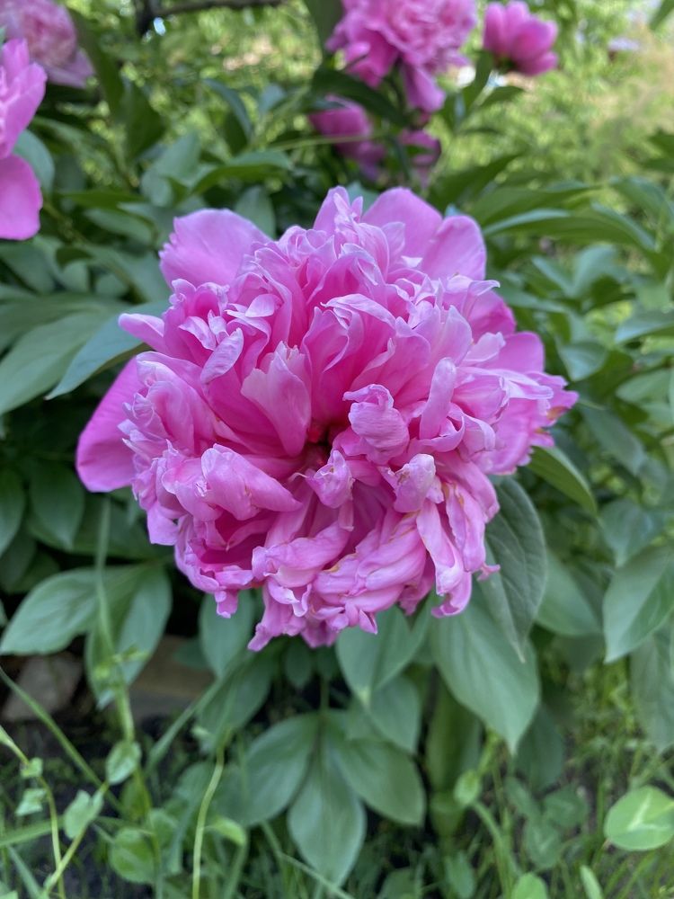 Photograph by Полина Синельникова